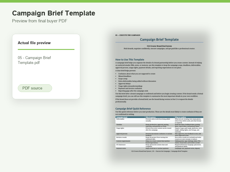 Preview of the Campaign Brief Template PDF.